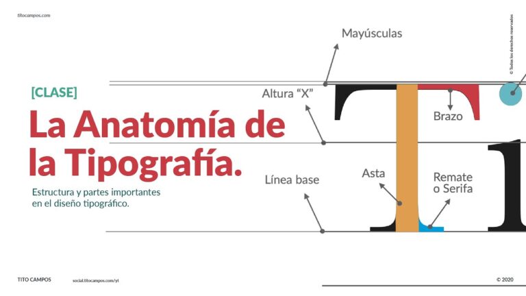 Descubre la Anatom&iacute;a de Una Tipograf&iacute;a en 70 Caracteres